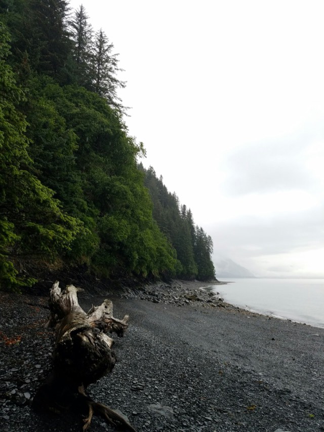 Wild beach